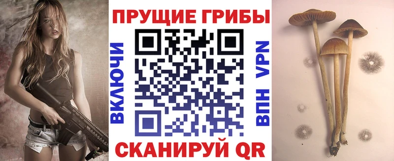 Псилоцибиновые грибы прущие грибы Константиновск